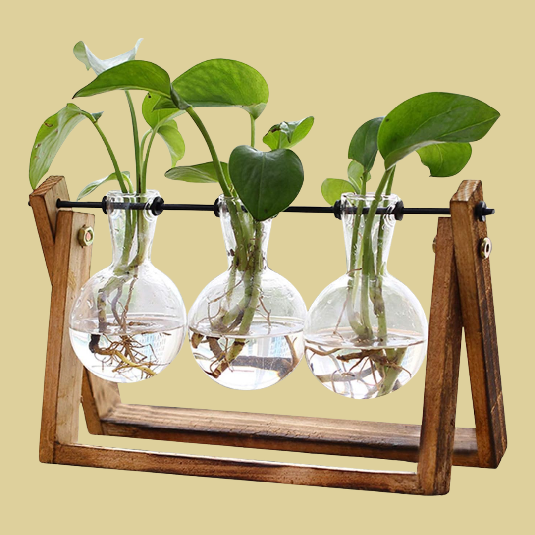 Linus – Dekorative Glasvasen im Holzgestell für Hydrokultur